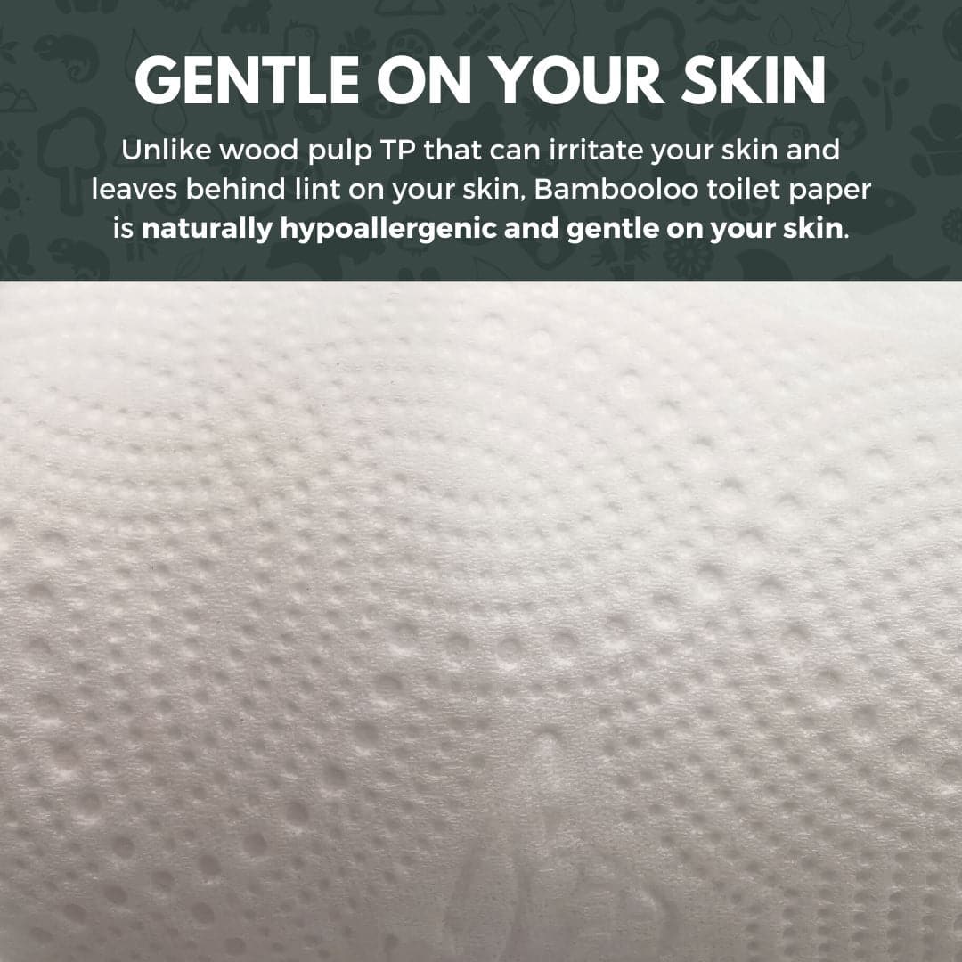 1 x Bambooloo Toilet Roll GrabBag. Toilet Rolls Bambooloo