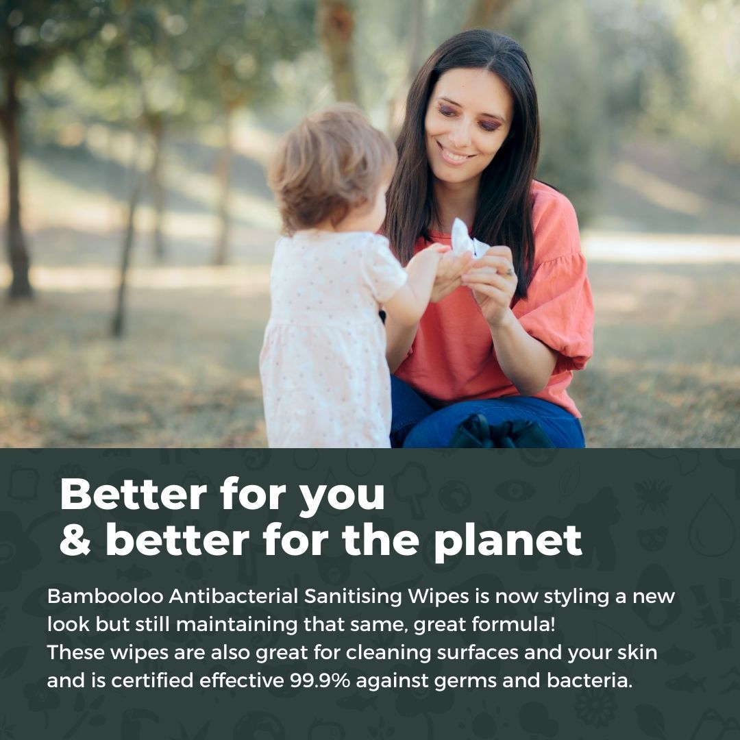 Bamboo Antibacterial Wipes | 1 canister