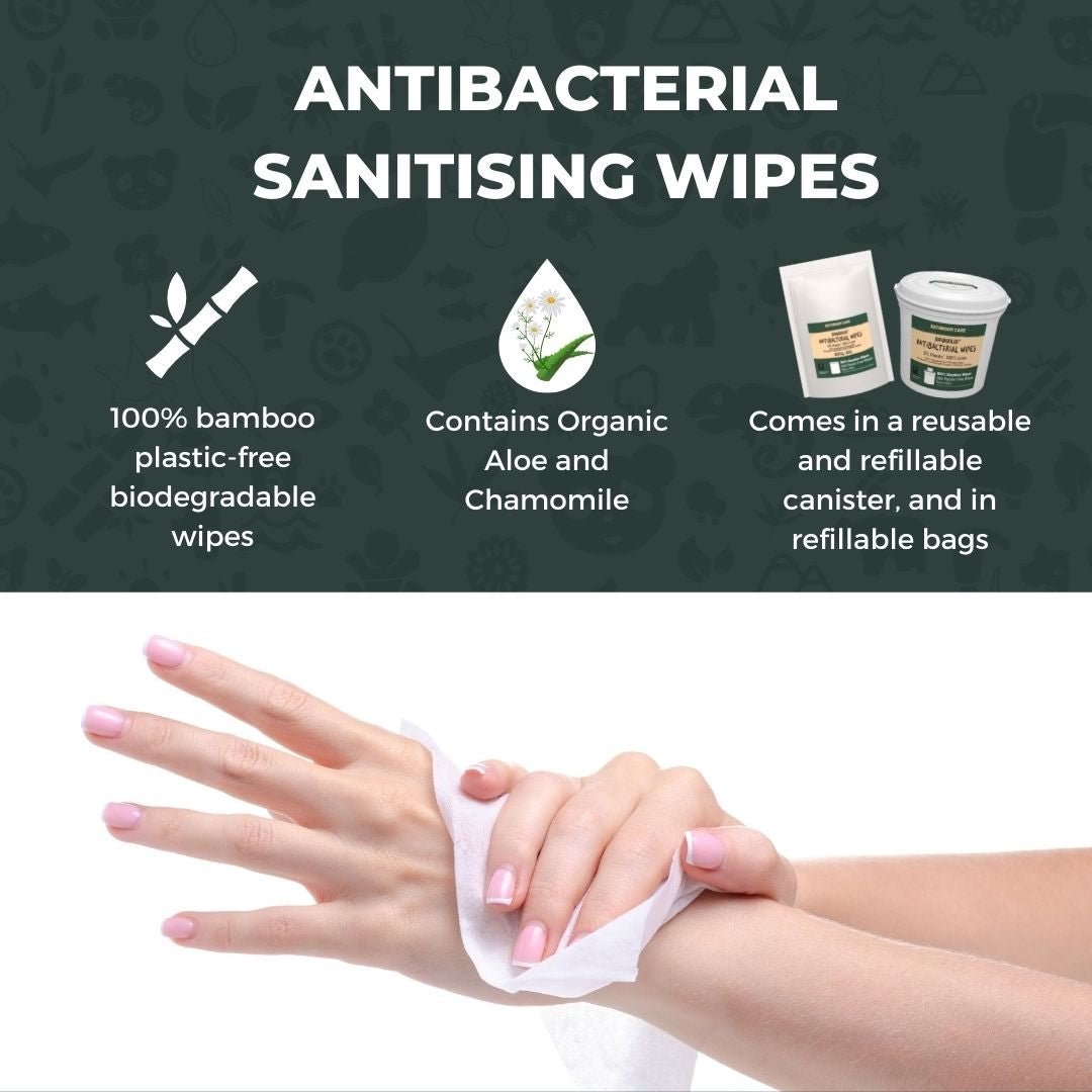 Bamboo Antibacterial Wipes | 1 canister