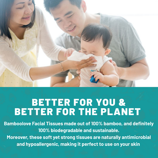 Bamboo Facial Tissues | 12 boxes