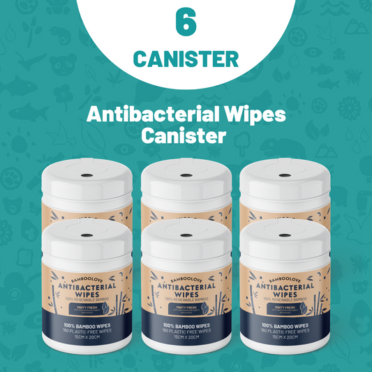Bamboo Antibacterial Wipes | 6 Canister