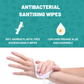 Bamboo Antibacterial Wipes | 6 Refill Bags