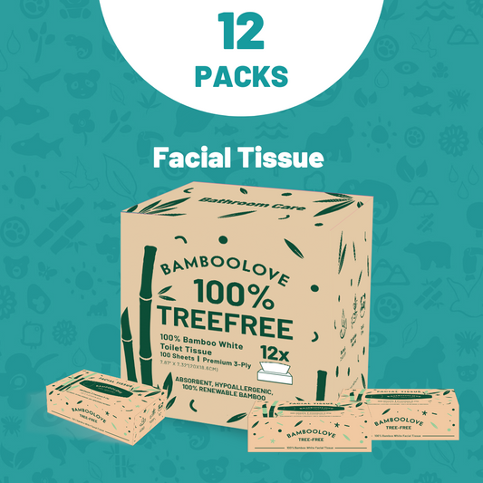 Bamboo Facial Tissues | 12 boxes