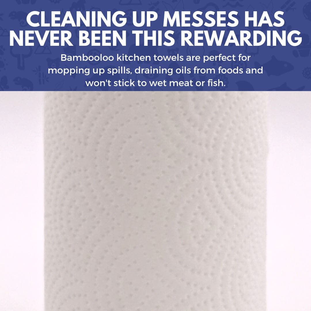1 x Bambooloo 2 Ply Kitchen Roll GrabBag (4 rolls, 60 sheets each) (PRE-ORDER) Kitchen Rolls Bambooloo 