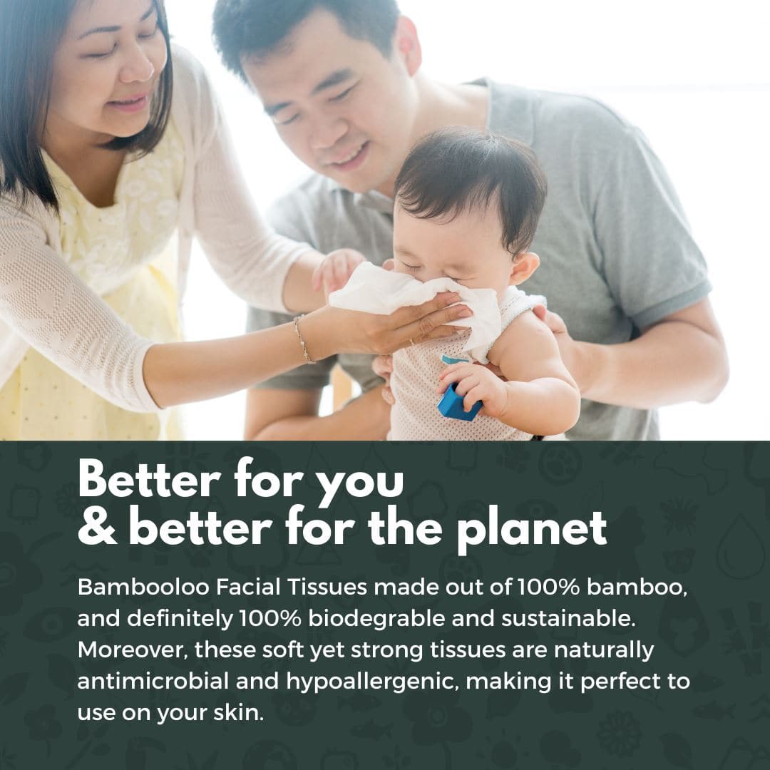 Bambooloo Bamboo Facial Tissues. 12 individual boxes per carton. (PRE-ORDER) Facial Tissues Bambooloo 