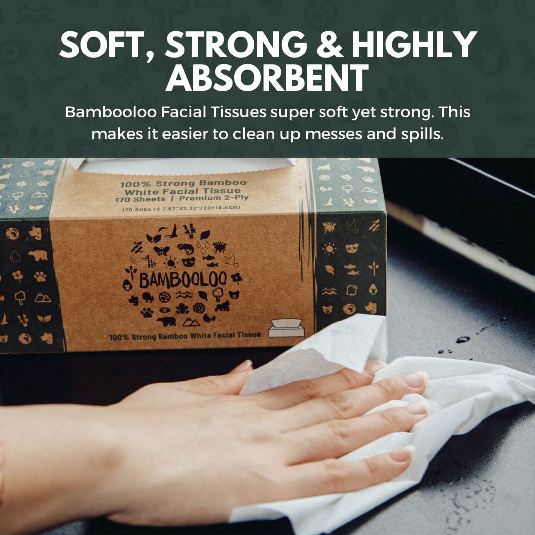Bambooloo Bamboo Facial Tissues. 12 individual boxes per carton. (PRE-ORDER) Facial Tissues Bambooloo 